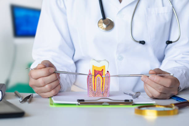 Best Emergency Denture Repair in Needville, TX